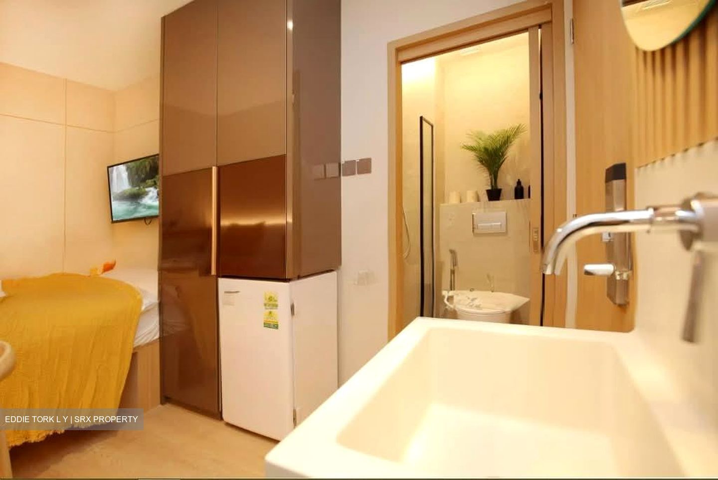 Mount Elizabeth Link (D9), Apartment #599672471
